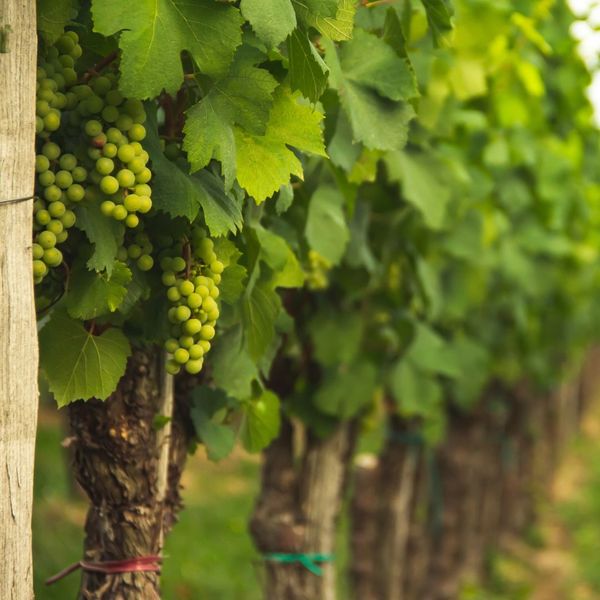 The Best Things to Do in Berthoud Heron Pointe Apartments